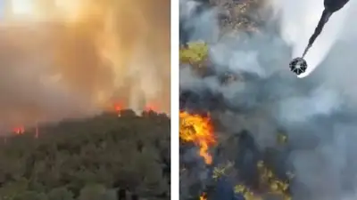 Четыре самолета и восемь вертолетов участвуют в тушении крупного пожара в Турции