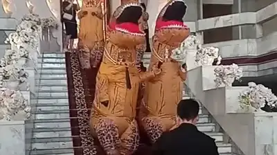 Брачующихся динозавров сняли на видео в Бишкеке